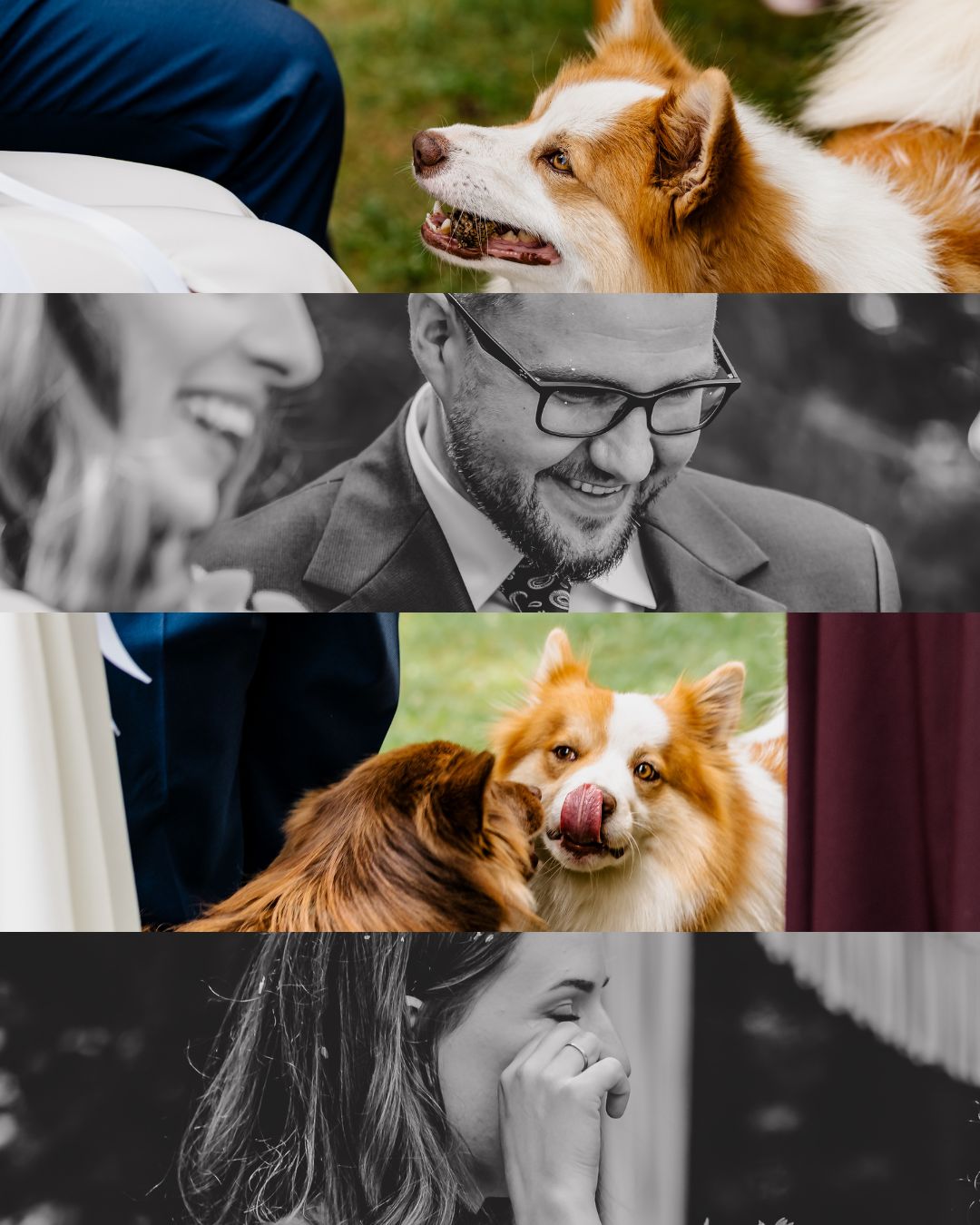 ślub plenerowy z psem emocje relacje